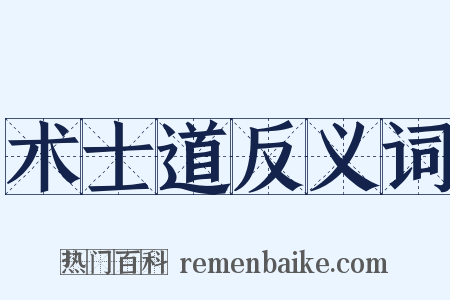 术士道反义词是什么意思的图片